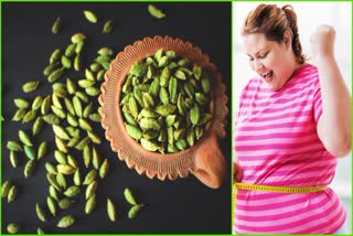 Cardamom For Weight Loss Full Details Here In Telugu