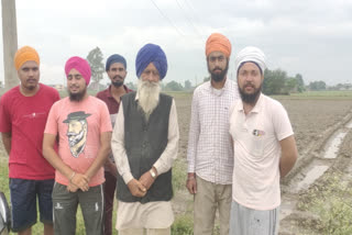 Unseasonal rain in Amritsar damaged the crop of green vegetables