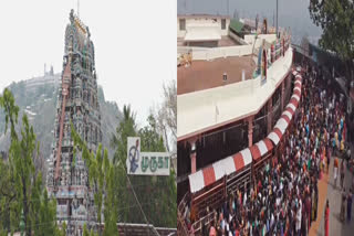 Oct 23 devotees are not allowed in Palani temple
