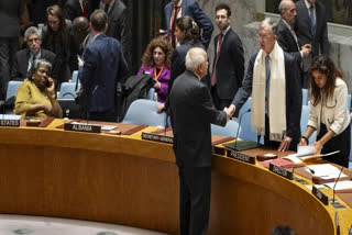 UN Security Council: Russia's resolution on Gaza