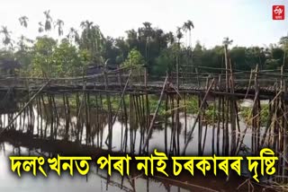 people make bamboo bridge for communication in dhemaji