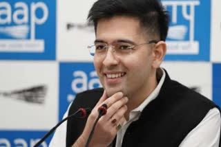 HC allows Raghav Chadha's plea against trial court's decision to vacate interim order