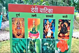 Plants adorned by four Devis planted in 'Devi Vatika', people throng garden during Navratri