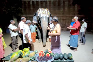 29-வது பிறந்தநாளைக் கொண்டாடிய சங்கரநாராயண சாமி கோயில் யானை