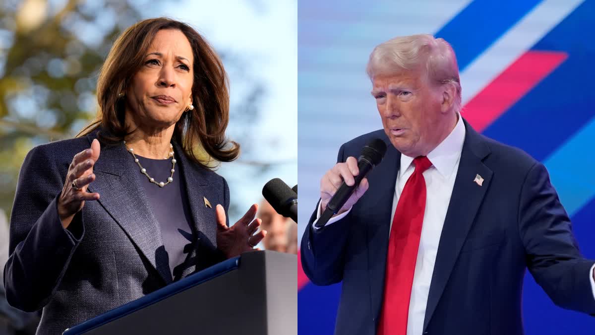 US Polls 2024 Kamala Trump