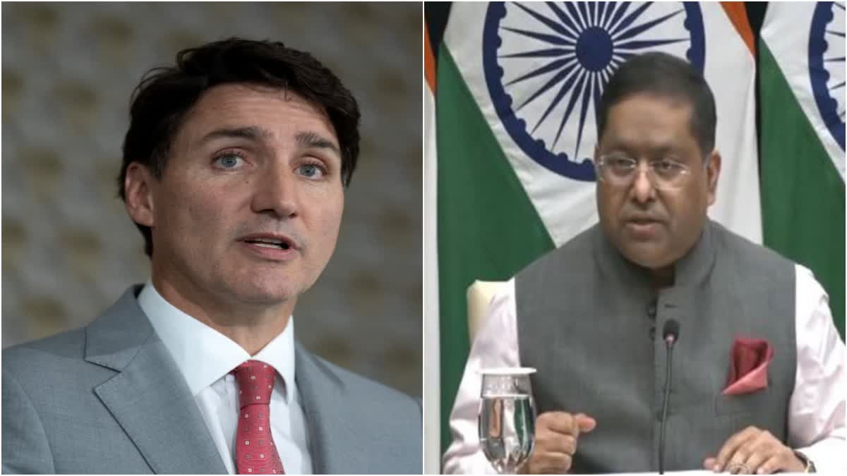 India On Canada Allegations