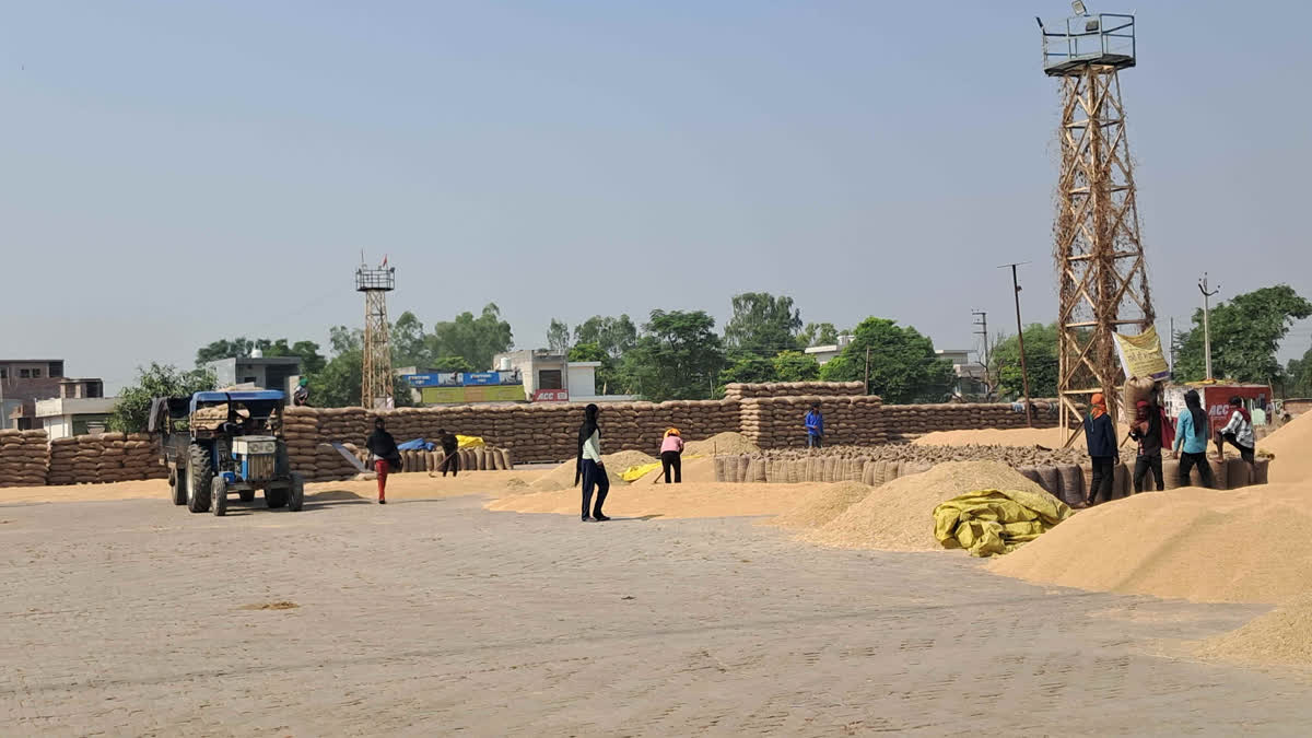 The politics of the paddy season in Punjab, the farmers made a big announcement