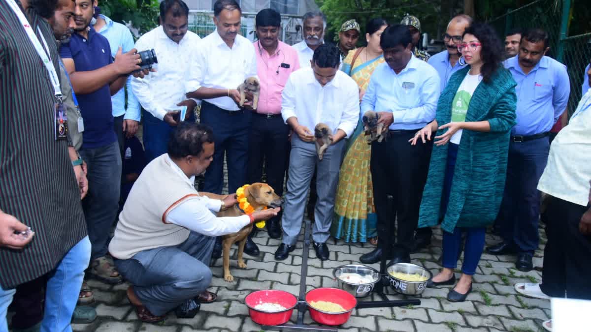 ಬೆಂಗಳೂರಲ್ಲಿ ಬೀದಿ ನಾಯಿಗಳಿಗೆ ಆಹಾರ ನೀಡುವ ಯೋಜನೆಗೆ ಬಿಬಿಎಂಪಿ ಚಾಲನೆ