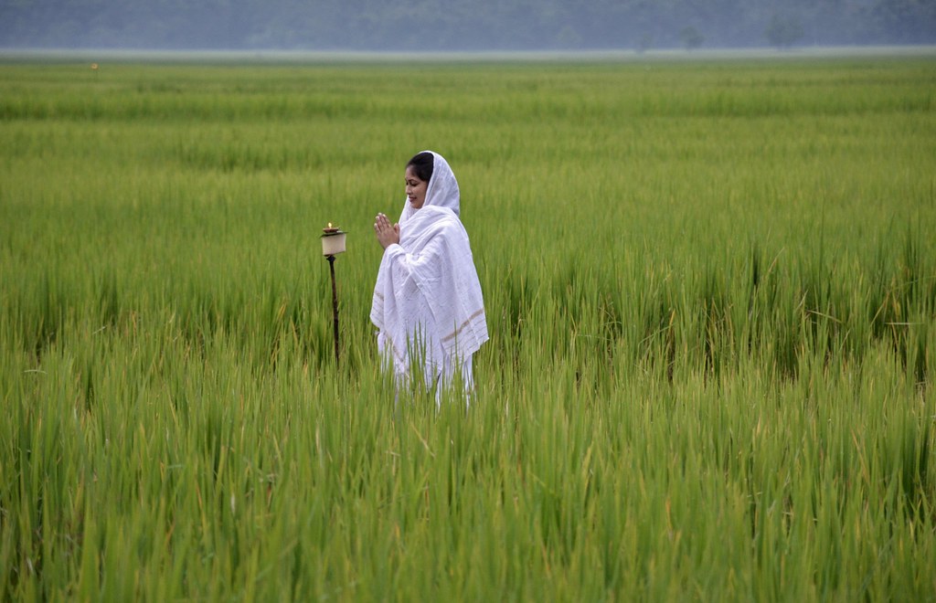 5 traditional foods prepared on Kati Bihu 2024