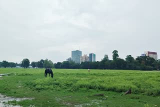 West Bengal Weather Update