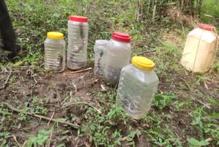 BURHANPUR SNAKES CATCHING