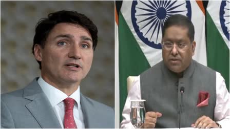 India On Canada Allegations