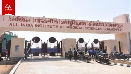 गोरखपुर AIIMS