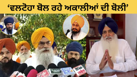 MP Amritpal singh's uncle harjit singh came in favor of giani Harpreet Singh,target virsa singh valtoha and Akali Dal