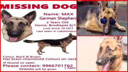 Guntur Missing Pet Dog Case