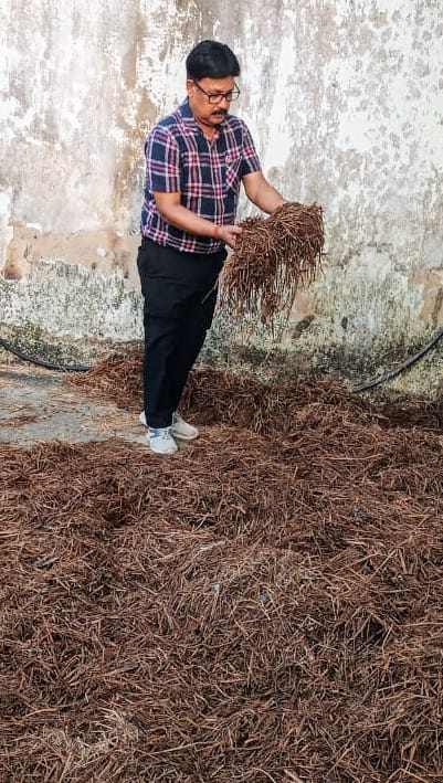 mushroom cultivation and production