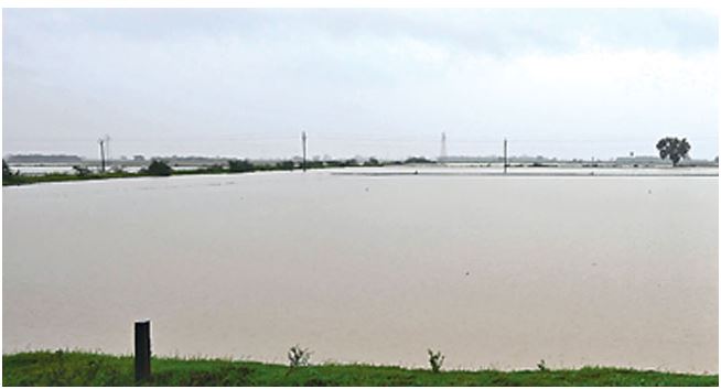 Heavy rains in many areas brought life to a standstill -TTD closed Srivari Metu footpath