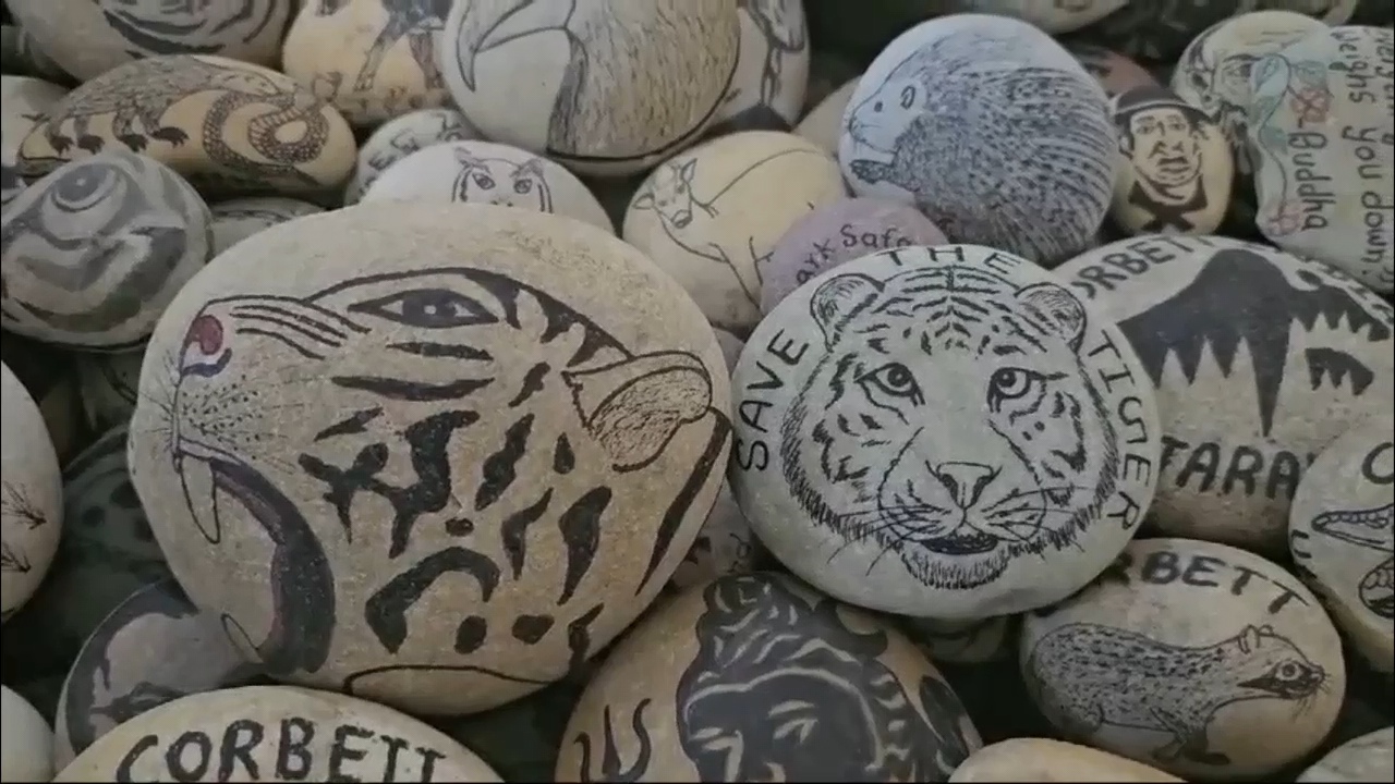 Forest And Wildlife Art on Stone in Ramnagar