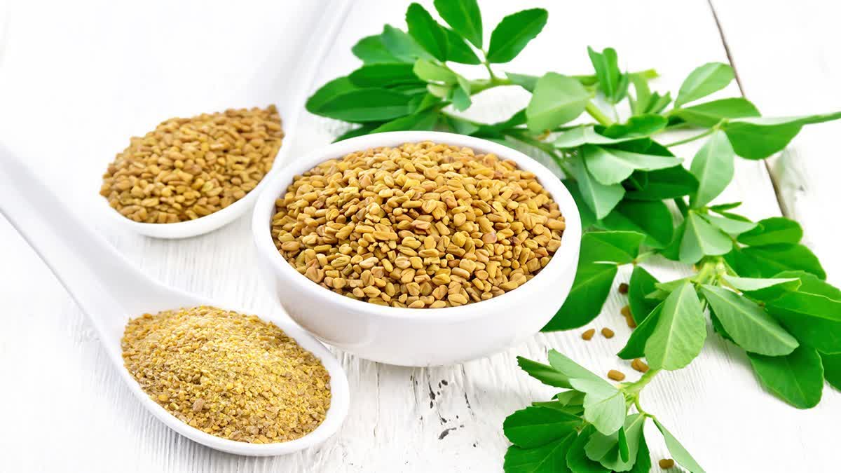 Fenugreek health benefits