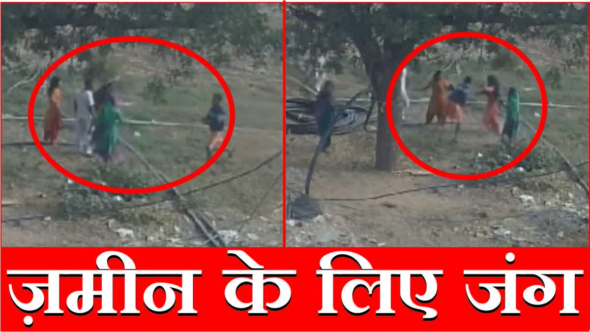 Bhiwani News  Land Dispute Maarpeet Zameen Jung Peoples Clash Viral Video Haryana News