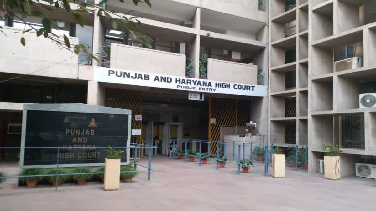 Punjab Haryana High Court