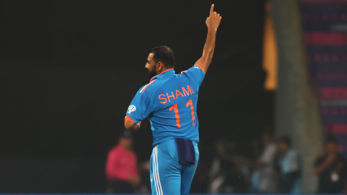 Mohammed Shami On his World Cup 2023 performance  Cricket World Cup 2023  Mohammed Shami Wickets in Cricket World Cup 2023  India vs Australia final Cricket World Cup 2023  മുഹമ്മദ് ഷമി ഏകദിന ലോകകപ്പ് 2023 പ്രകടനം  ലോകകപ്പിലെ പ്രകടനത്തെക്കുറിച്ച് മുഹമ്മദ് ഷമി  മുഹമ്മദ് ഷമി ലോകകപ്പ് 2023 വിക്കറ്റുകള്‍  ഇന്ത്യ vs ഓസ്‌ട്രേലിയ ഫൈനല്‍ ലോകകപ്പ് 2023