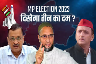 3 Party power in MP elections