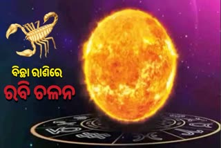 sun transit special horoscope