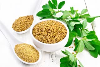 Fenugreek health benefits