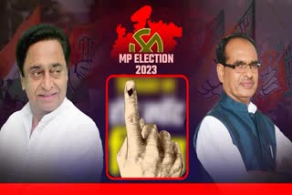 Assembly Elections 2023