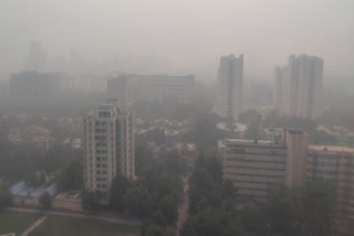 Air pollution affecting female reproduction
