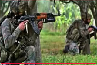 Five militants killed in Kulgam