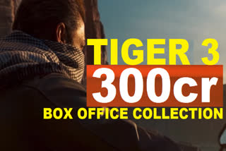 Tiger 3 Box Office Collection Day 6