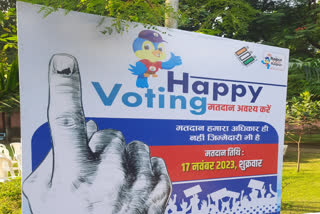 Unique polling booths in Chhattisgarh