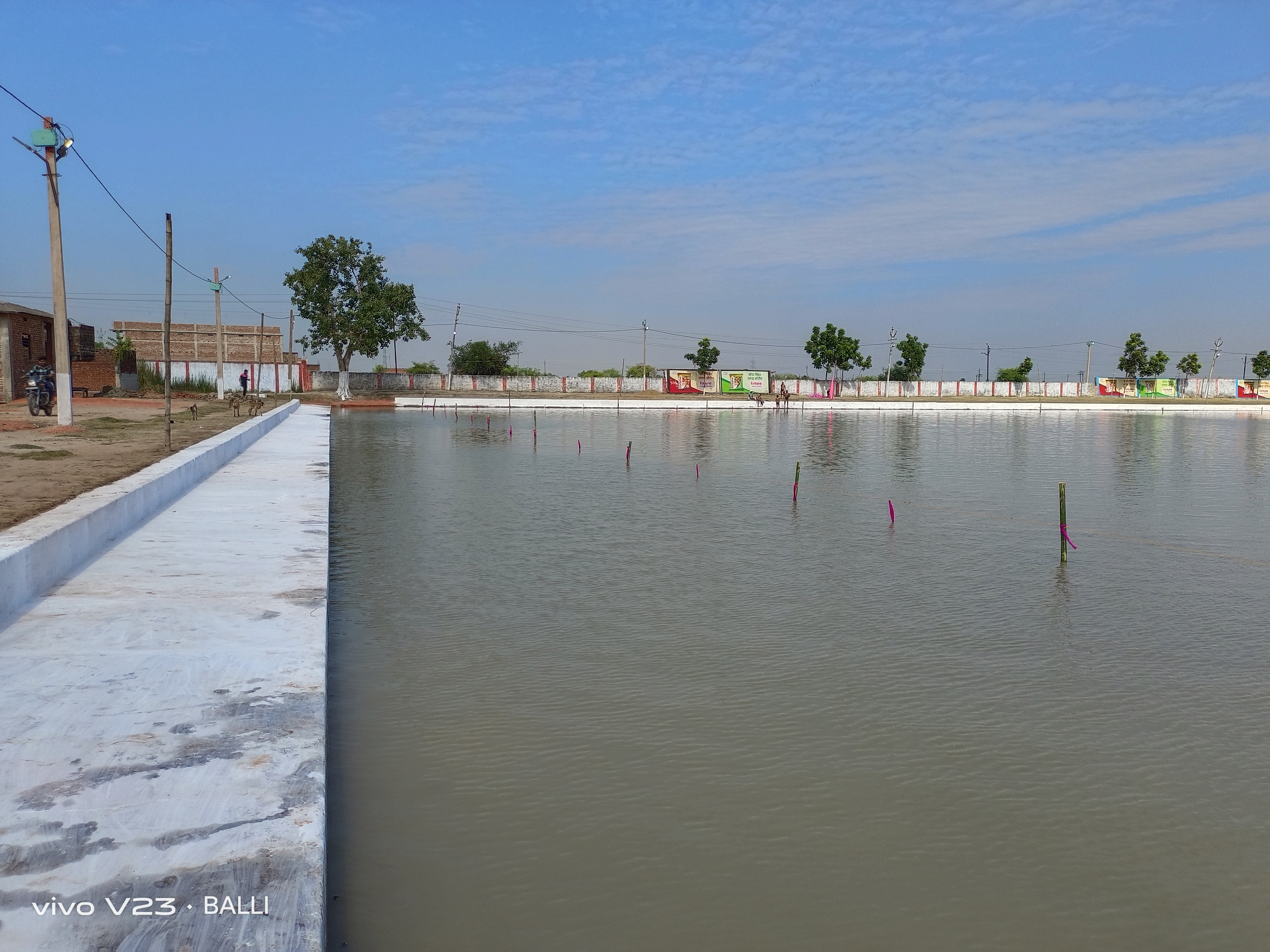 Chhath Puja In Sheikhpura