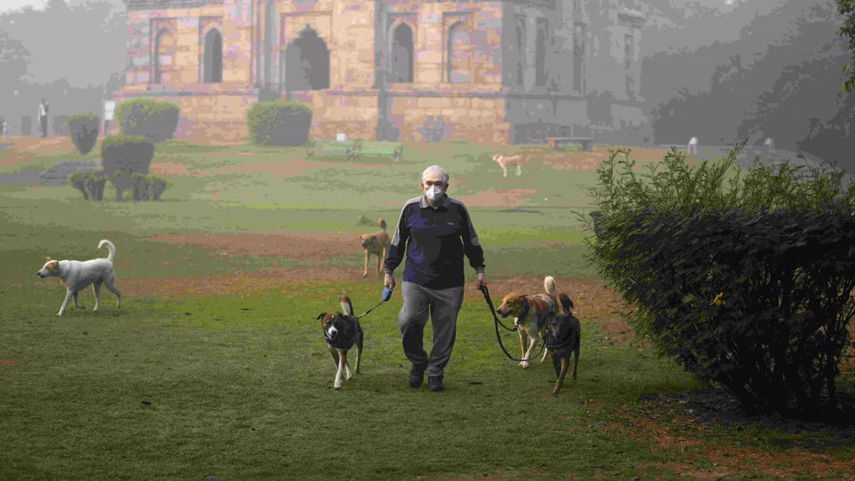 Delhi Pollution