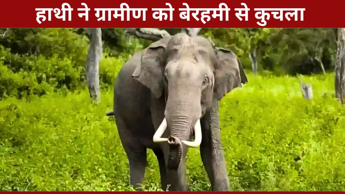 elephant Attack in Balrampur