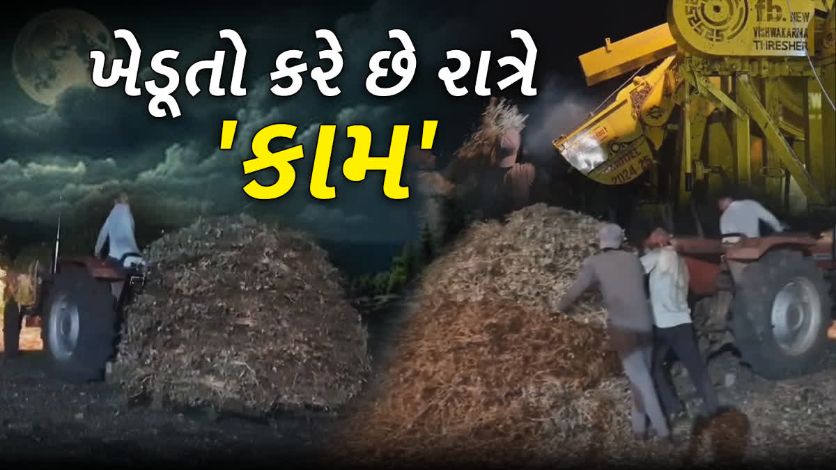 અમરેલીમાં મગફળીની કાપણી કરવા મજૂર મળતા નથી