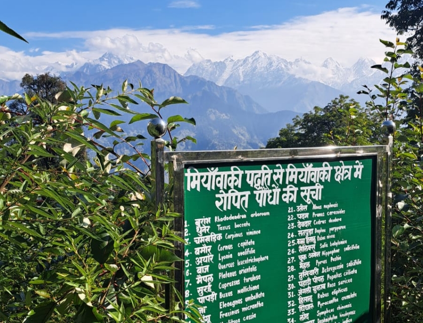 Forest developed Miyawaki technology