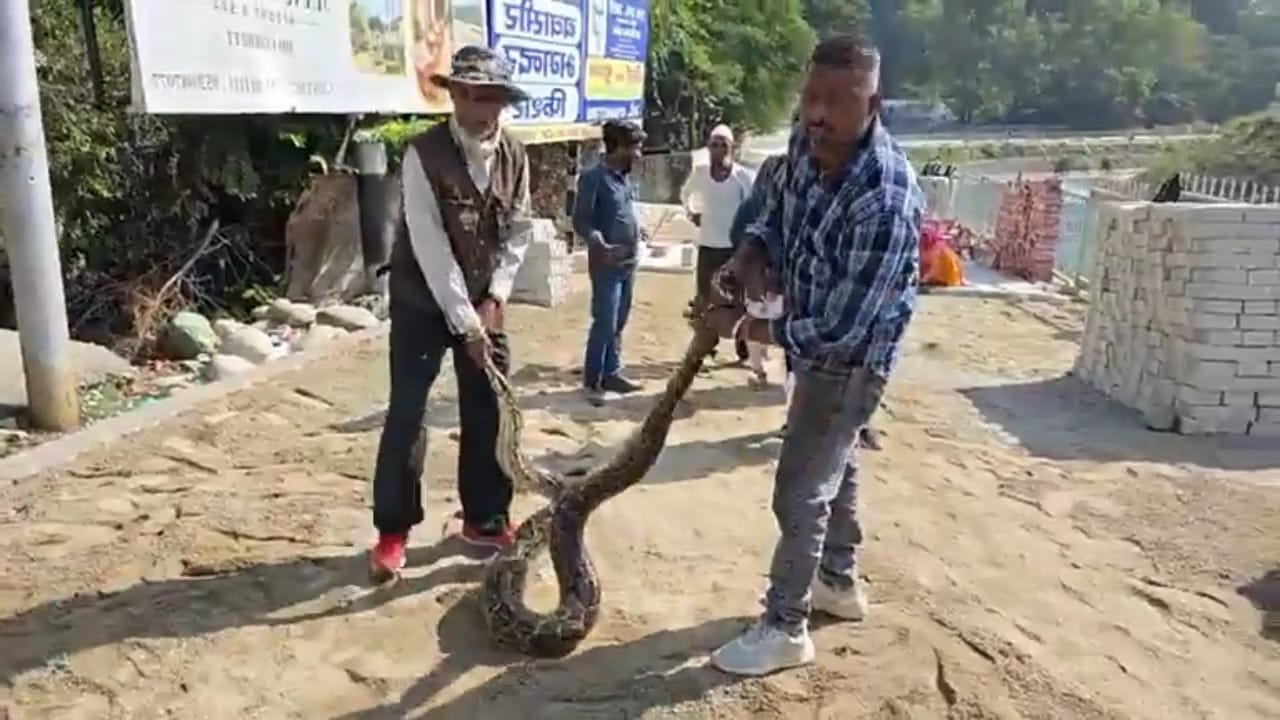 PYTHON IN RAMNAGAR