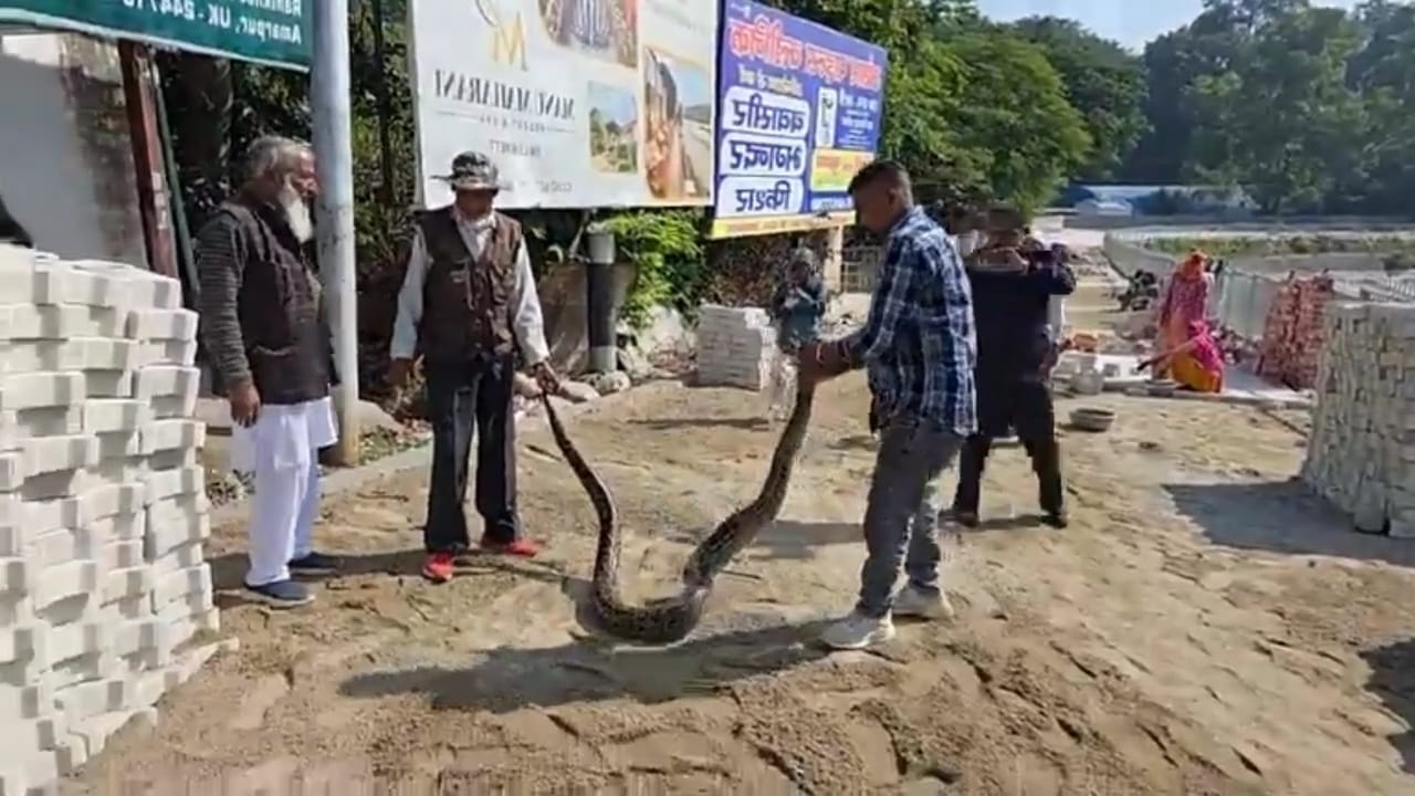 PYTHON IN RAMNAGAR