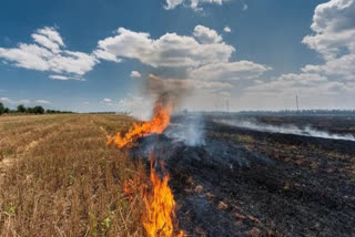 Environment experts warn that stubble burning cases have dropped significantly, but Delhi NCR’s air quality remains hazardous due to stagnant winter air- Reports Surabhi Gupta.