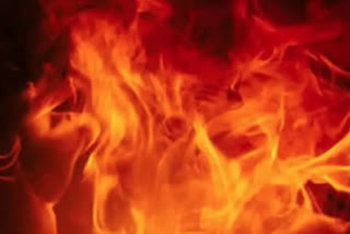 Fire In Shoe Factory In Northwest Delhi