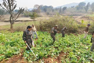 opium-smugglers-movement-surrounding-areas-in-ranchi-police-alert-mode