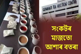 Assam Tea Industry