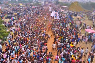 state-level-cattle-race-competition