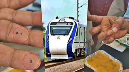 VANDE BHARAT FOOD CONTAMINATION  VANDE BHARAT EXPRESS  വന്ദേ ഭാരതില്‍ സാമ്പാറില്‍ പ്രാണി  വന്ദേ ഭാരത് ഭക്ഷണം