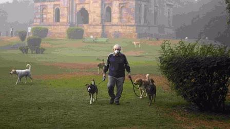 Delhi Pollution