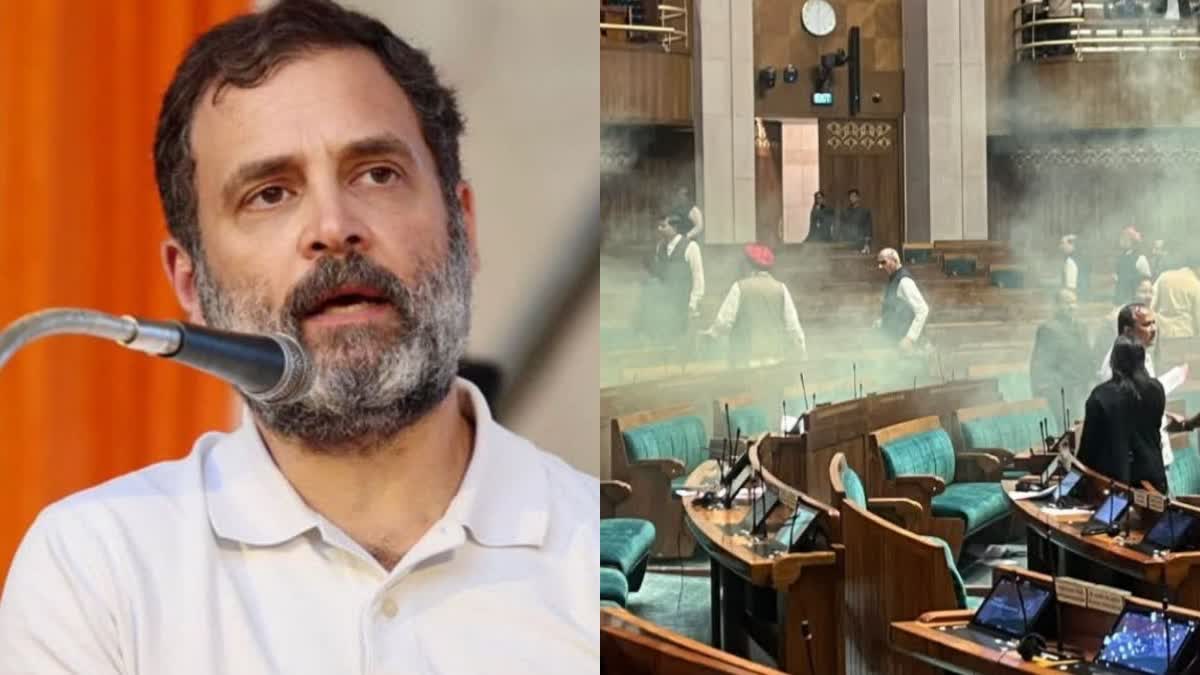 Rahul Gandhi  Parliament security breach  Rahul Gandhi about Parliament security breach  Parliament security breach issue news  പാർലമെന്‍റ് സുരക്ഷാ വീഴ്‌ച  പാർലമെന്‍റ് സുരക്ഷാ വീഴ്‌ചയെ കുറിച്ച് രാഹുൽ ഗാന്ധി  security lapse in Parliament  Rahul Gandhi about B J P government  പാർലമെന്‍റ് സുരക്ഷാ വീഴ്‌ച കാരണങ്ങൾ  രാഹുൽ ഗാന്ധി  ബിജെപി സർക്കാരിനെതിരെ രാഹുൽ ഗാന്ധി