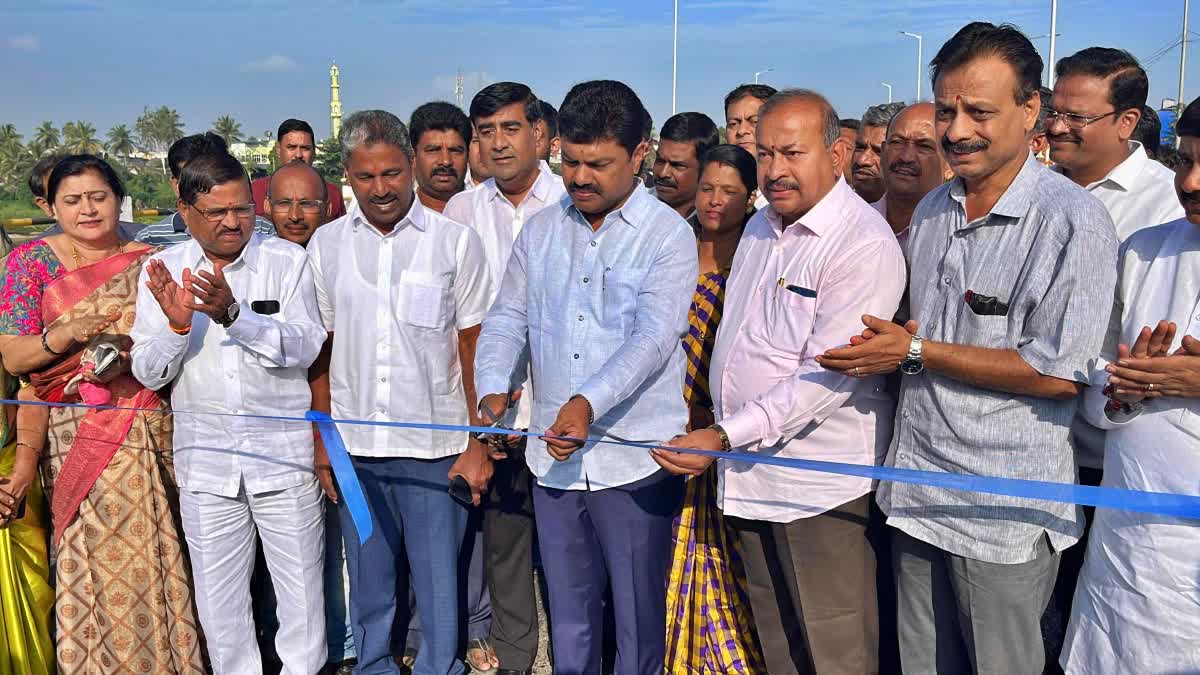 ಸೇತುವೆ ಲೋಕಾರ್ಪಣೆ